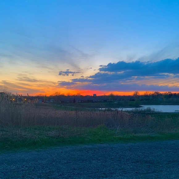 Meet your Posher, Kiera - Picture 1 of 1